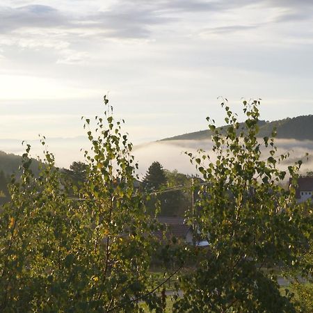 Gîtes du Taennchel Thannenkirch Exterior foto